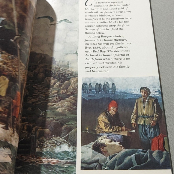 National Geographic Magazine July 1985 Basque Whaling Israel Iran Largest Flower - Picture 10 of 11